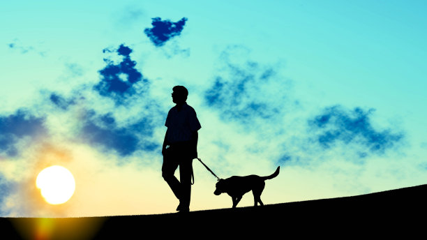 人与狗户外在天空3D渲染图片下载