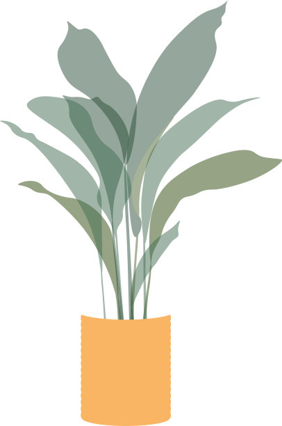 植物(榕树，山药，芦荟，生铁，中国，鳄梨)图片下载