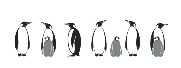 企鹅。王企鹅。集图片下载