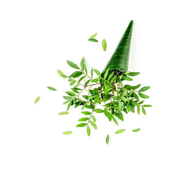 以绿叶圆锥形，环保理念图片下载