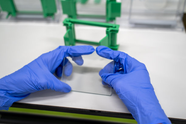 蛋白水平检测的一般准备过程是使用western blot分析。该方法用于凝胶电泳分离蛋白质。图片下载