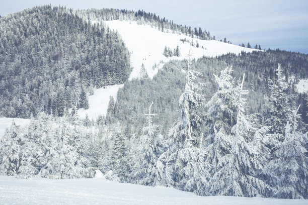 Beskid Zywiecki。冬天在波兰。这张照片是在徒步前往扎布尼卡村附近的瑞斯安卡时拍摄的。冬天白雪皑皑的山脉。图片下载