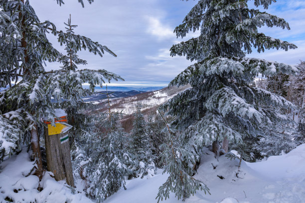 Beskid Zywiecki。冬天在波兰。这张照片是在徒步前往扎布尼卡村附近的瑞斯安卡时拍摄的。冬天白雪皑皑的山脉。图片下载