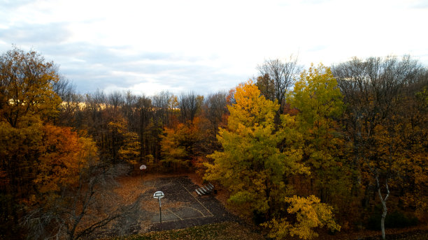 鸟瞰图的操场周围的色彩斑斓的森林在秋天图片下载