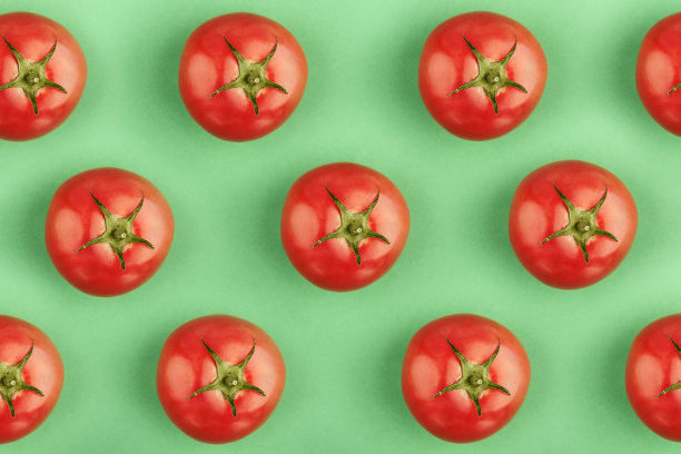 色彩鲜艳的红色番茄在绿色背景上的创意图案图片下载