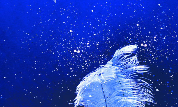 鸵鸟羽毛在蓝色的背景上闪闪发光。中国新年的概念。节日的概念。本空间图片下载