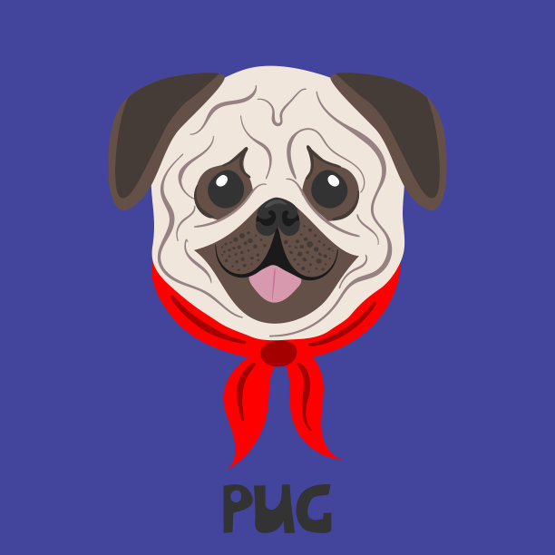 彩色背景上的狗脸图片下载