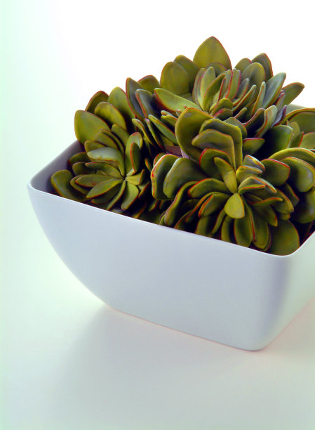 多汁锅图片下载