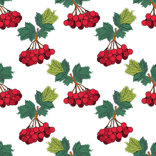 荚蒾属的红色浆果。无缝壁纸。图片下载