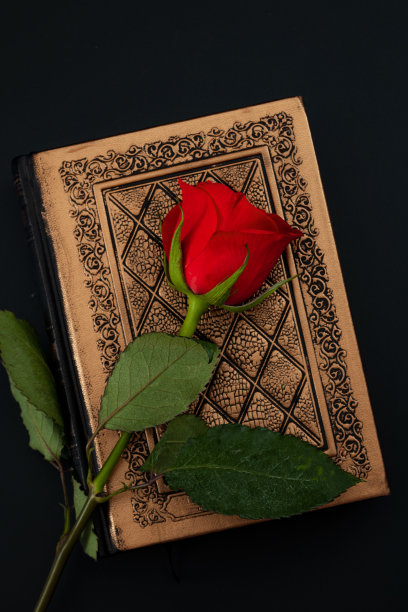 红玫瑰在古董书孤立在黑暗的背景概念主题与顶视图古董书与黄金精装和红玫瑰与绿色叶子在黑色的背景上图片下载