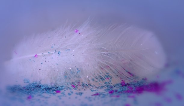 抽象和美丽的特写白色羽毛覆盖在多色金属五彩纸屑图片下载