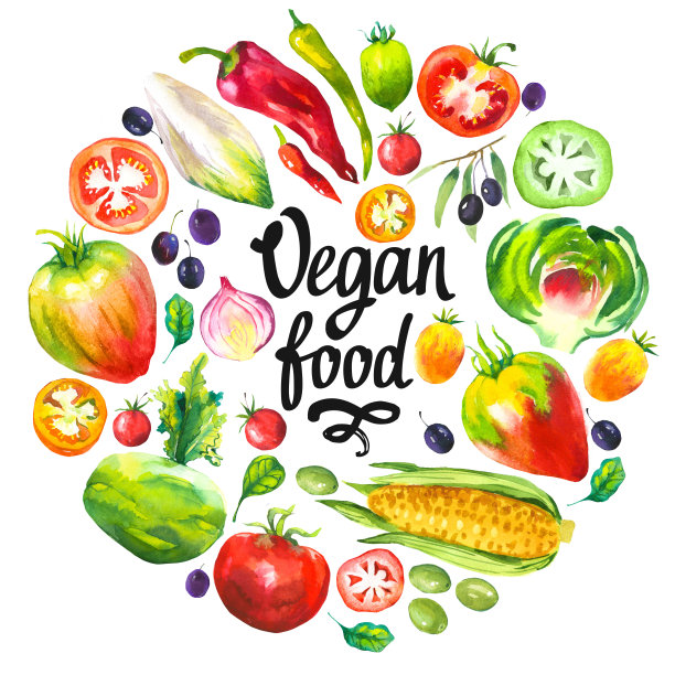 水彩插图与圆形组成的农场插图。蔬菜套装:洋蓟，西红柿，橄榄，花椰菜，菊苣，玉米，西红柿，菠菜，辣椒。新鲜的有机食品。图片下载