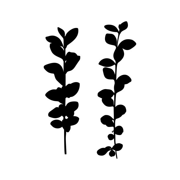 在白色背景上孤立的一株植物的分支的黑色剪影。矢量图图片下载