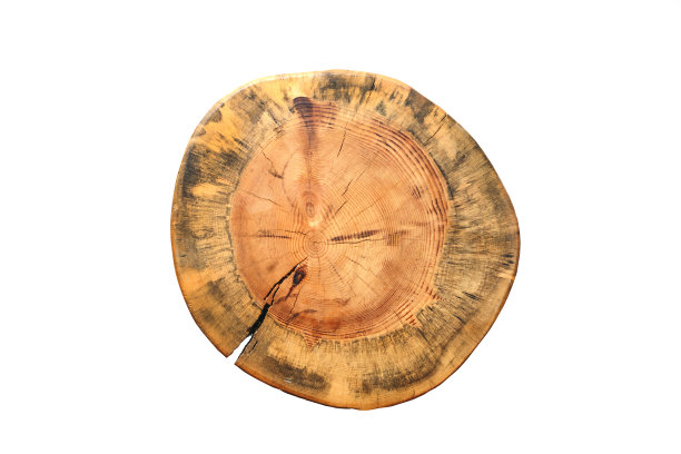 孤立木圆片图片下载