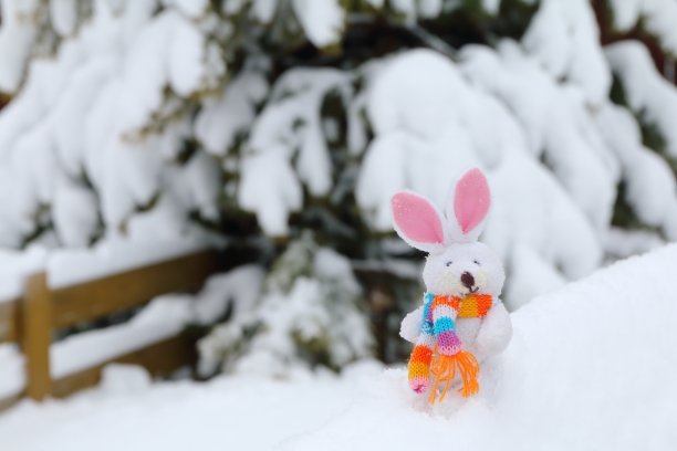 冬季公园的毛毡兔子雕像。图片下载