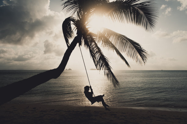 在棕榈树上摇摆图片下载