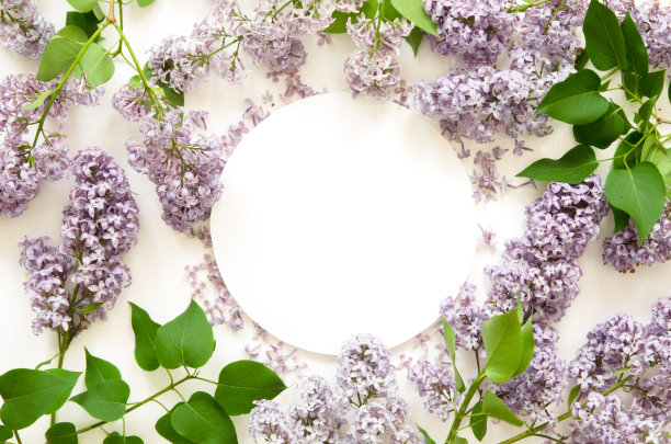 丁香花的创意布局与空白的文字在白纸上。模型。从以上观点。——图片图片下载
