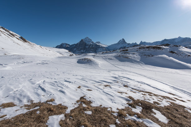 冬季仙境图片下载