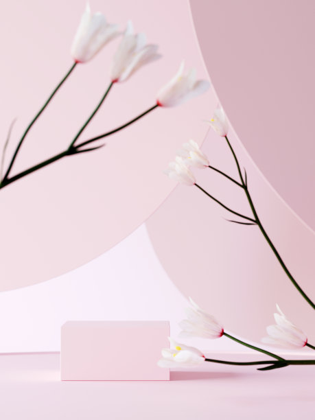 化妆品包装介绍的背景。裙房白色植物和浅粉色圆形几何背景。3 d渲染。图片下载