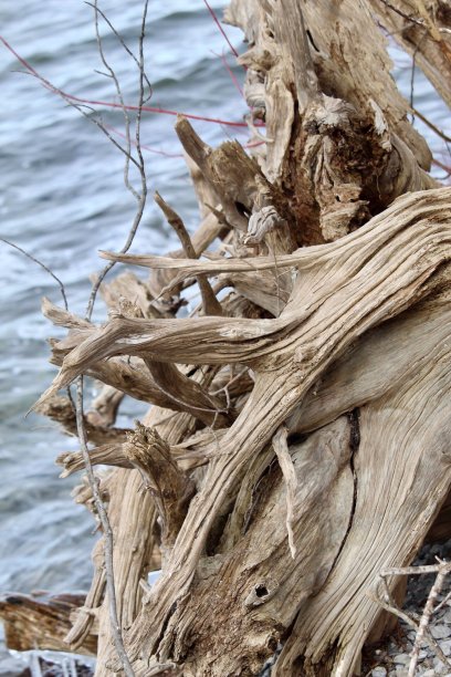 难住了图片下载