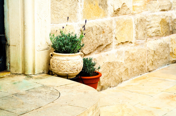 古董陶瓷花瓶与花园的花在砖墙的背景。家庭园艺。特写镜头图片下载