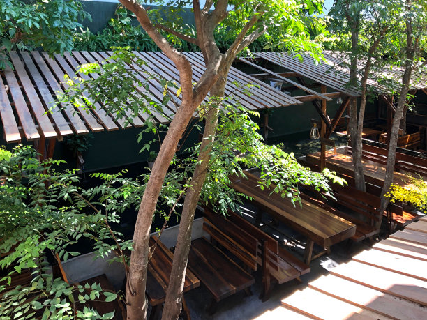 亚洲木制室内设计与树木和花卉内的建筑图片下载