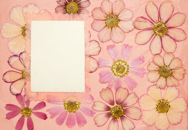 旧相册里的一页是粉红色的。剪贴簿元素装饰的叶子，花和花瓣野花。乡村风格的相册页在剪贴簿与相框的照片。图片下载