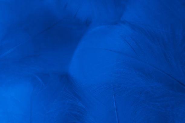 美丽的抽象彩色紫色和蓝色羽毛在白色的背景和柔软的白色粉红色羽毛纹理在白色的图案和蓝色的背景图片下载