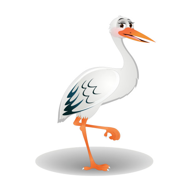 鹳-向量图像图片下载