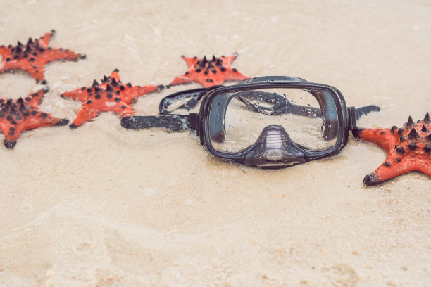 海滩上有红色的海星和潜水面罩图片下载