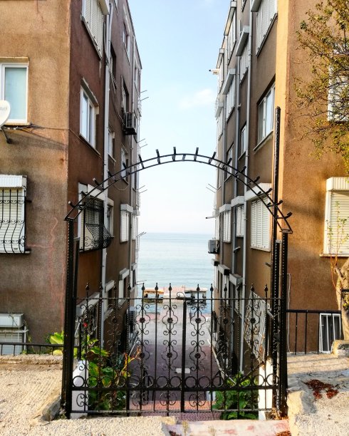 亚洛娃·西卡莫尔图片下载