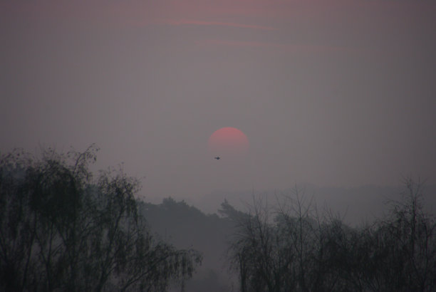 冬天太阳升起图片下载