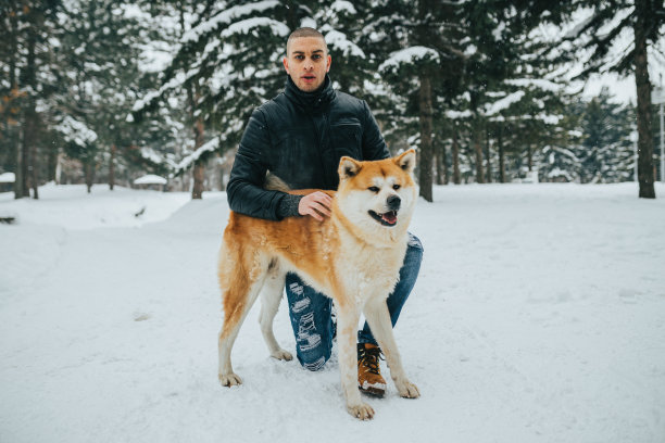 一个年轻人和日本秋田犬在一个下雪的冬天图片下载
