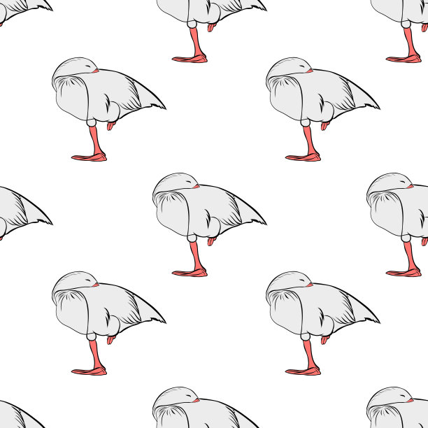 图形绘制鸭子在一个白色的背景。图片下载