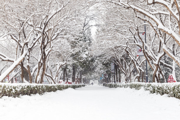 冬季大雪的自然景象图片下载