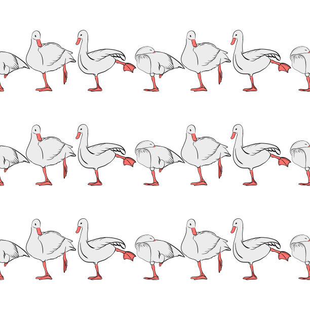 图形绘制鸭子在一个白色的背景。图片下载