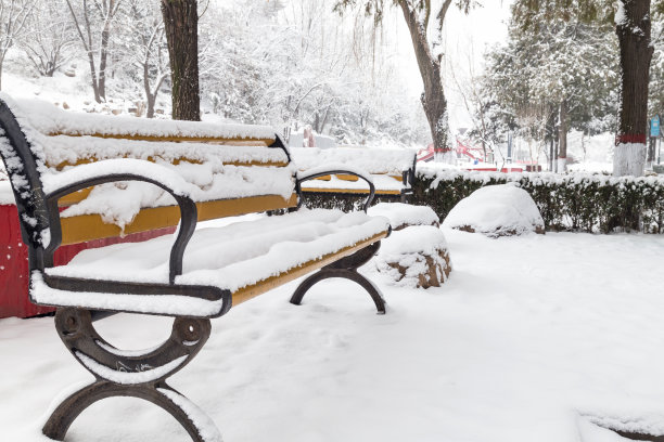 冬季大雪的自然景象图片下载
