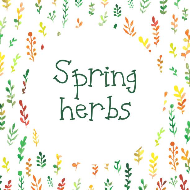 春草题词矢量插图手绘图片下载