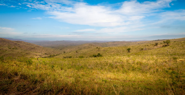 南非Hluhluwe - imfolozi国家公园的大草原全景图片下载