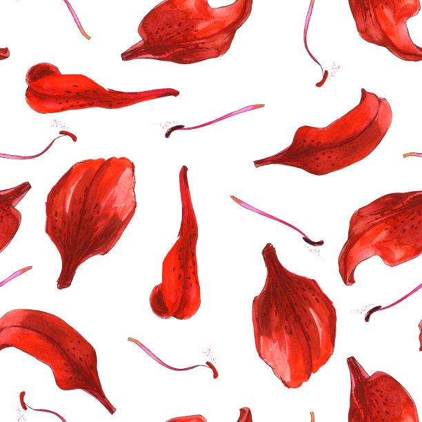 无缝图案桔红黄百合花瓣雄蕊花-水彩插图图片下载