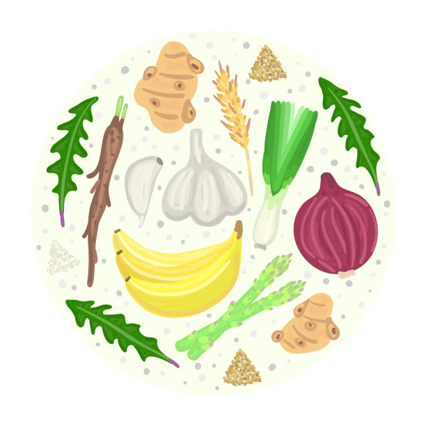 生命起源以前的食物。营养。Nondigestible纤维。胃肠健康。健康的饮食补充图片下载