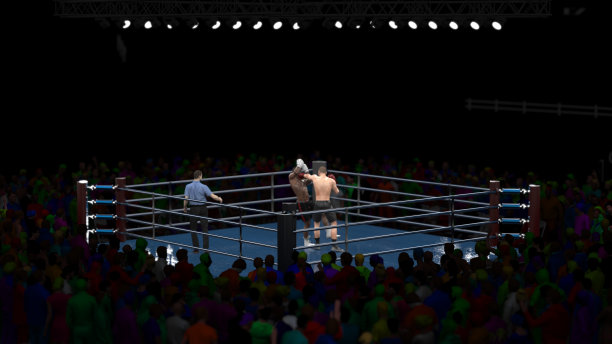 远距离观看专业拳击比赛与拳击爱好者在盒子竞技场3d渲染图片下载