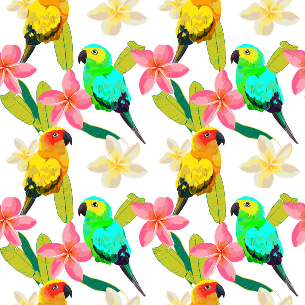 热带无缝模式与明亮的鹦鹉，芭蕉叶和鸡蛋花。花的纹理。图片下载