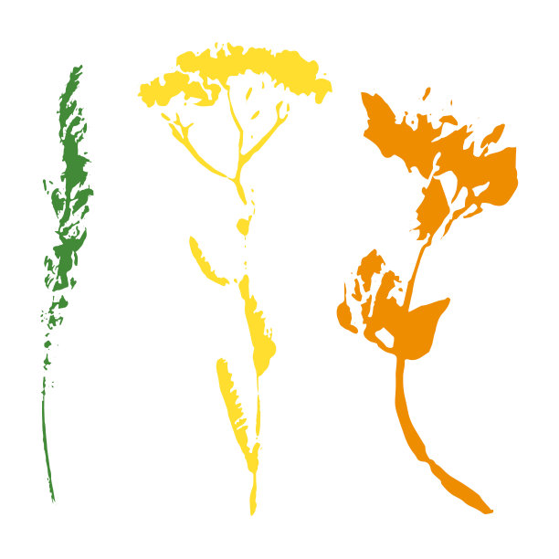 一套邮票叶子。矢量对象隔离在白色背景上。图片下载