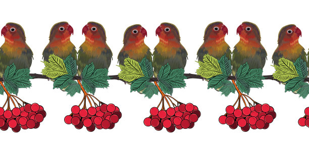 无缝图案粉颊情侣。爱鸟是鹦鹉科的一种。图形绘制。图片下载