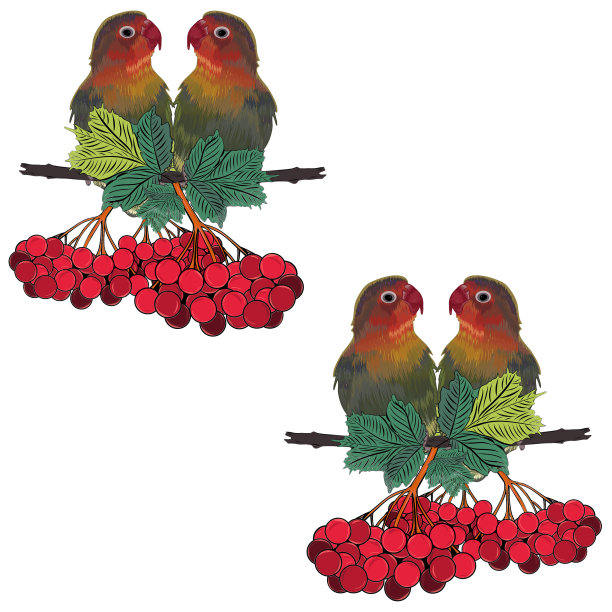 无缝图案粉颊情侣。爱鸟是鹦鹉科的一种。图片下载