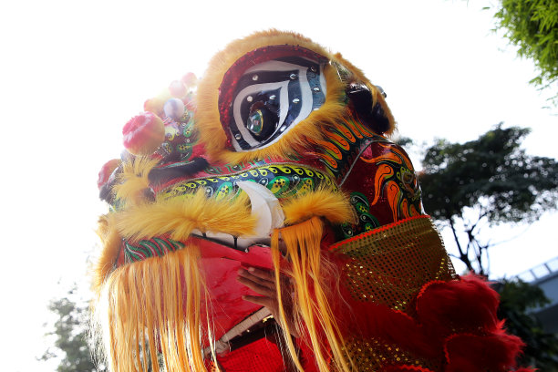 少年在舞狮团图片下载