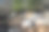 美丽的自然景观图片下载