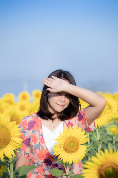 向日葵图片下载