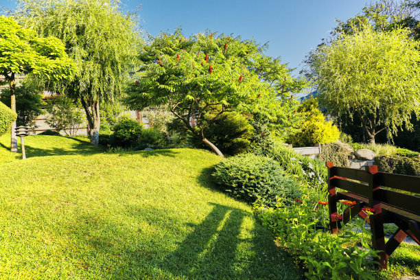 后花园的复古风格木制银行图片下载